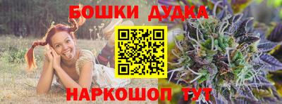 гашик Бузулук