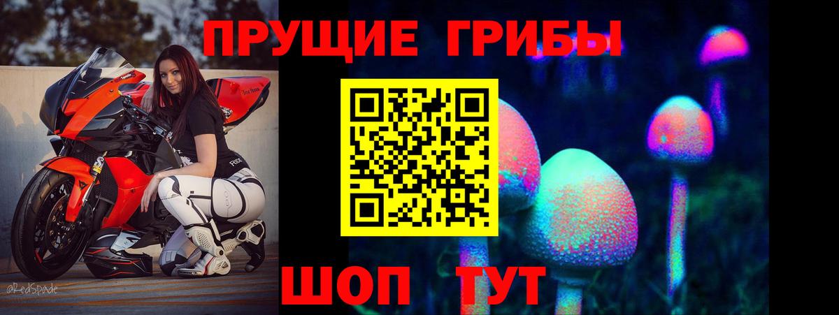 Псилоцибиновые грибы Magic Shrooms  Вход с VPN  Находка 